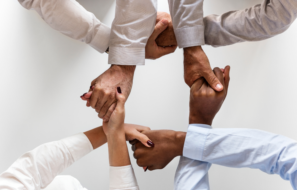 collaboration-support-carlow Social Project Support